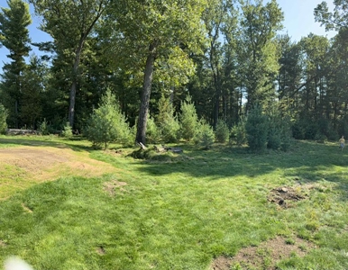 1/2 Acre Wooded Lot on Beautiful Northern Bay Golf Course - image 6