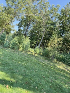 1/2 Acre Wooded Lot on Beautiful Northern Bay Golf Course - image 2