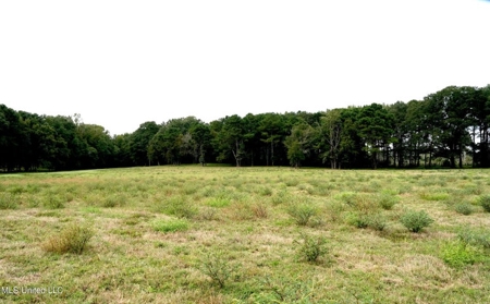 43 Acres of Beautiful Pasture with a Dream Farmhouse - image 4