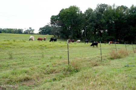 43 Acres of Beautiful Pasture with a Dream Farmhouse - image 13