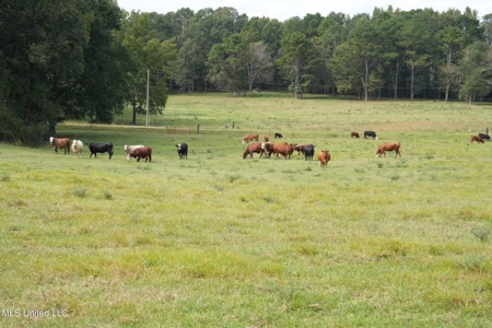 43 Acres of Beautiful Pasture with a Dream Farmhouse - image 3