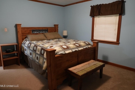 43 Acres of Beautiful Pasture with a Dream Farmhouse - image 24