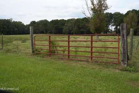 43 Acres of Beautiful Pasture with a Dream Farmhouse - image 12