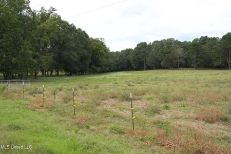 43 Acres of Beautiful Pasture with a Dream Farmhouse - image 14