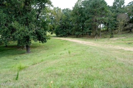 43 Acres of Beautiful Pasture with a Dream Farmhouse - image 16