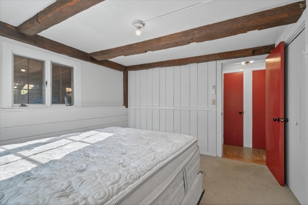 Charming Vermont Cape – Perfect Ski Getaway or Airbnb Gem! - image 16