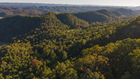 East Tennessee Mountain Sanctuary Sneedville- Unrestericted Land - image 25