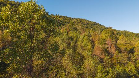 East Tennessee Mountain Sanctuary Sneedville- Unrestericted Land - image 16