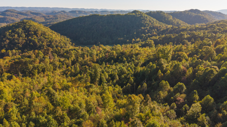 East Tennessee Mountain Sanctuary Sneedville- Unrestericted Land - image 12