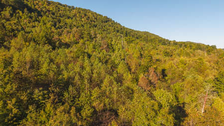 East Tennessee Mountain Sanctuary Sneedville- Unrestericted Land - image 22