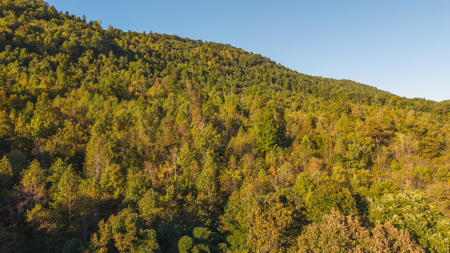 East Tennessee Mountain Sanctuary Sneedville- Unrestericted Land - image 27