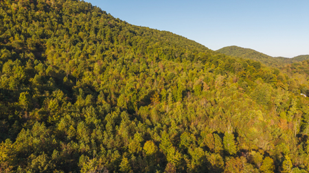 East Tennessee Mountain Sanctuary Sneedville- Unrestericted Land - image 29