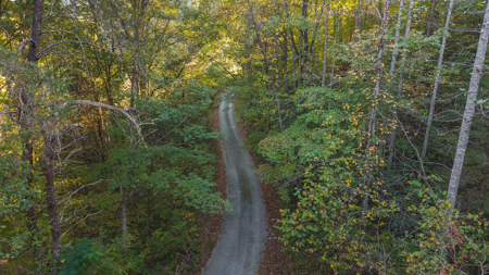 East Tennessee Mountain Sanctuary Sneedville- Unrestericted Land - image 36