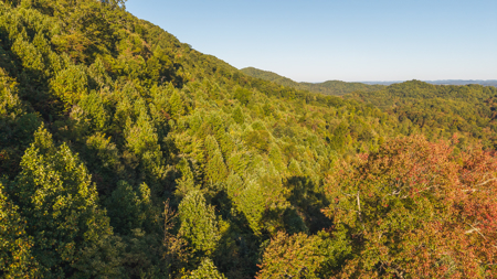 East Tennessee Mountain Sanctuary Sneedville- Unrestericted Land - image 7