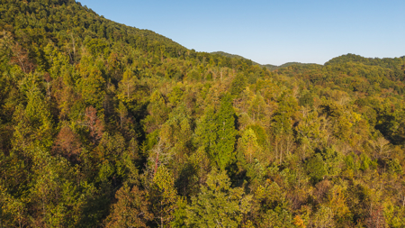 East Tennessee Mountain Sanctuary Sneedville- Unrestericted Land - image 14
