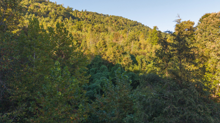 East Tennessee Mountain Sanctuary Sneedville- Unrestericted Land - image 20