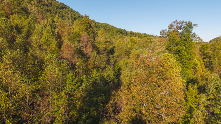 East Tennessee Mountain Sanctuary Sneedville- Unrestericted Land - image 15
