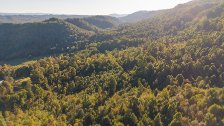 East Tennessee Mountain Sanctuary Sneedville- Unrestericted Land - image 30