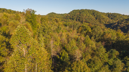 East Tennessee Mountain Sanctuary Sneedville- Unrestericted Land - image 21