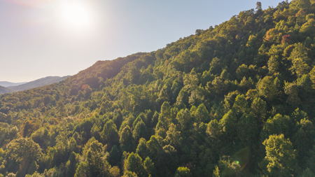 East Tennessee Mountain Sanctuary Sneedville- Unrestericted Land - image 32