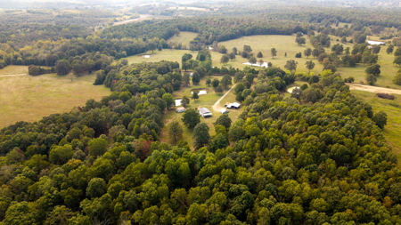 Country Home and 10 Acres for sale in the Arkansas Ozarks - image 38