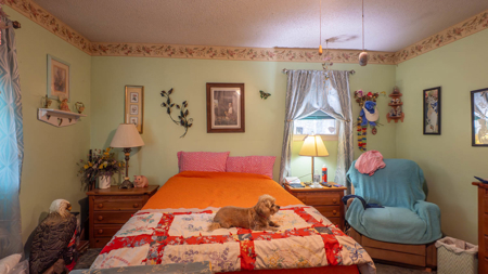 Country Home and 10 Acres for sale in the Arkansas Ozarks - image 35