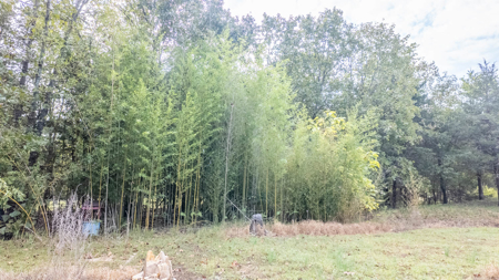 Country Home and 10 Acres for sale in the Arkansas Ozarks - image 30