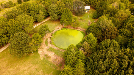 Country Home and 10 Acres for sale in the Arkansas Ozarks - image 37