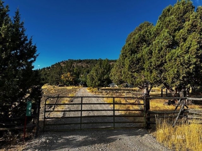 Charming Mountain Home on 40 Scenic Acres in Cedarville - image 6