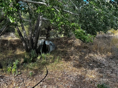 Charming Mountain Home on 40 Scenic Acres in Cedarville - image 12