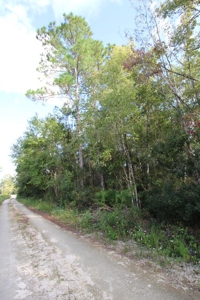 6.45 Acres of peaceful country living located off Bulb Farm Road - image 16