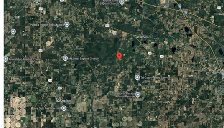 6.45 Acres of peaceful country living located off Bulb Farm Road - image 32