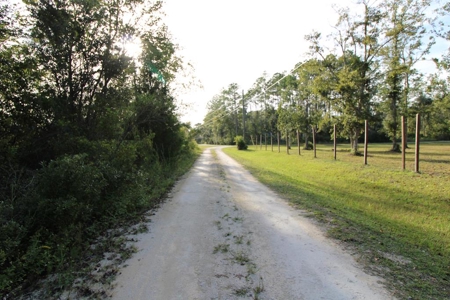 6.45 Acres of peaceful country living located off Bulb Farm Road - image 29