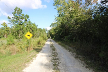 6.45 Acres of peaceful country living located off Bulb Farm Road - image 9