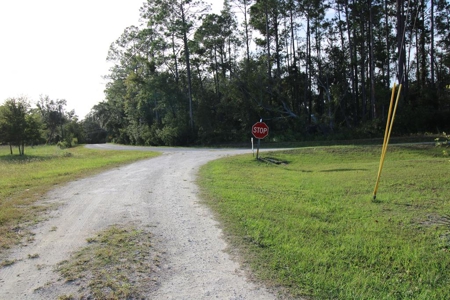 6.45 Acres of peaceful country living located off Bulb Farm Road - image 30