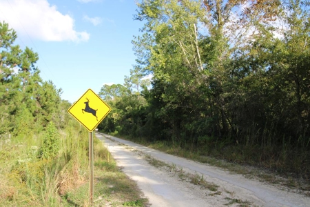 6.45 Acres of peaceful country living located off Bulb Farm Road - image 10