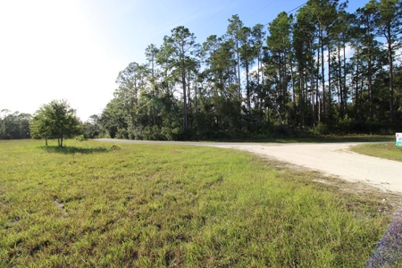 6.45 Acres of peaceful country living located off Bulb Farm Road - image 7