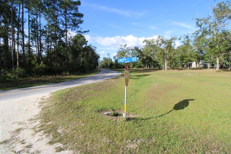 6.45 Acres of peaceful country living located off Bulb Farm Road - image 5