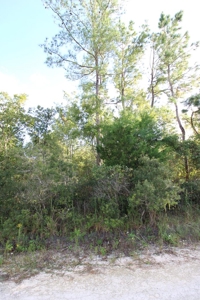 6.45 Acres of peaceful country living located off Bulb Farm Road - image 13