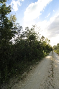 6.45 Acres of peaceful country living located off Bulb Farm Road - image 14