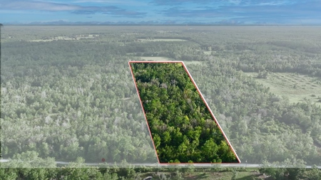 6.45 Acres of peaceful country living located off Bulb Farm Road - image 4