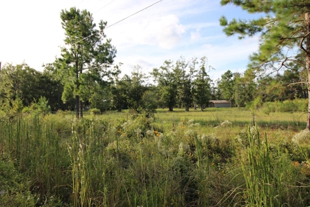 6.45 Acres of peaceful country living located off Bulb Farm Road - image 26