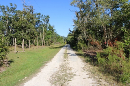 6.45 Acres of peaceful country living located off Bulb Farm Road - image 8