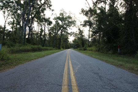 6.45 Acres of peaceful country living located off Bulb Farm Road - image 31