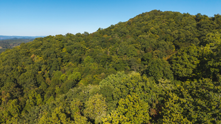 East Tennessee Hunting Property for Sale in Hawkins County - image 1