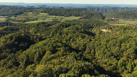 East Tennessee Hunting Property for Sale in Hawkins County - image 20