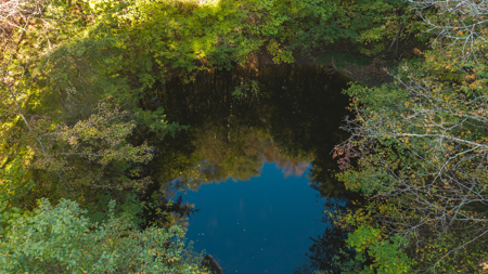 East Tennessee Hunting Property for Sale in Hawkins County - image 13