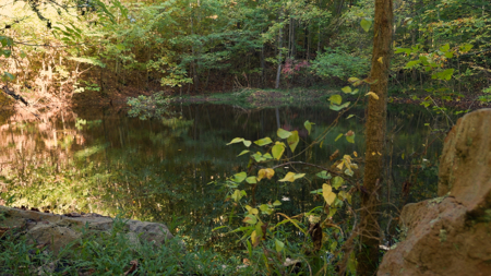 East Tennessee Hunting Property for Sale in Hawkins County - image 15