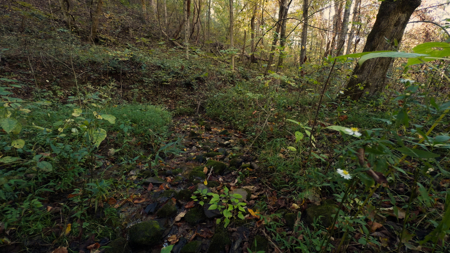 East Tennessee Hunting Property for Sale in Hawkins County - image 21