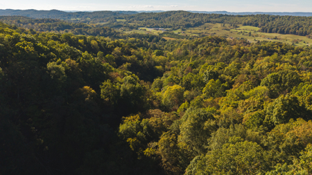 East Tennessee Hunting Property for Sale in Hawkins County - image 12